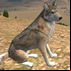 Wolf Games